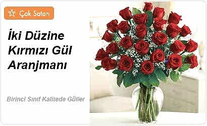 Elegant 27 Kırmızı Gül